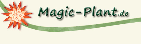 Magic-Plant Banner